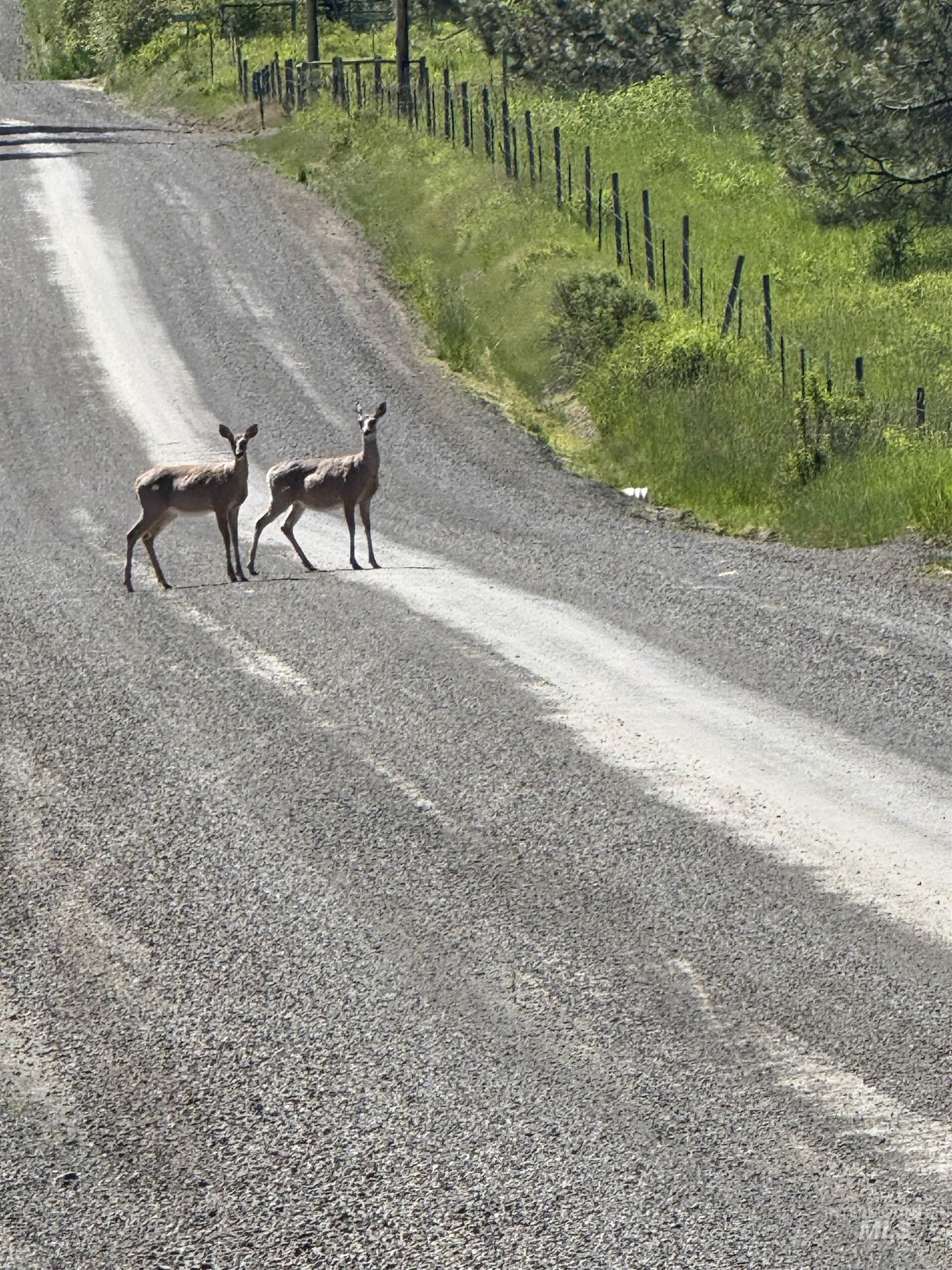 5656 Three Mile Road Weippe, ID 83553 - Photo 37 of 47