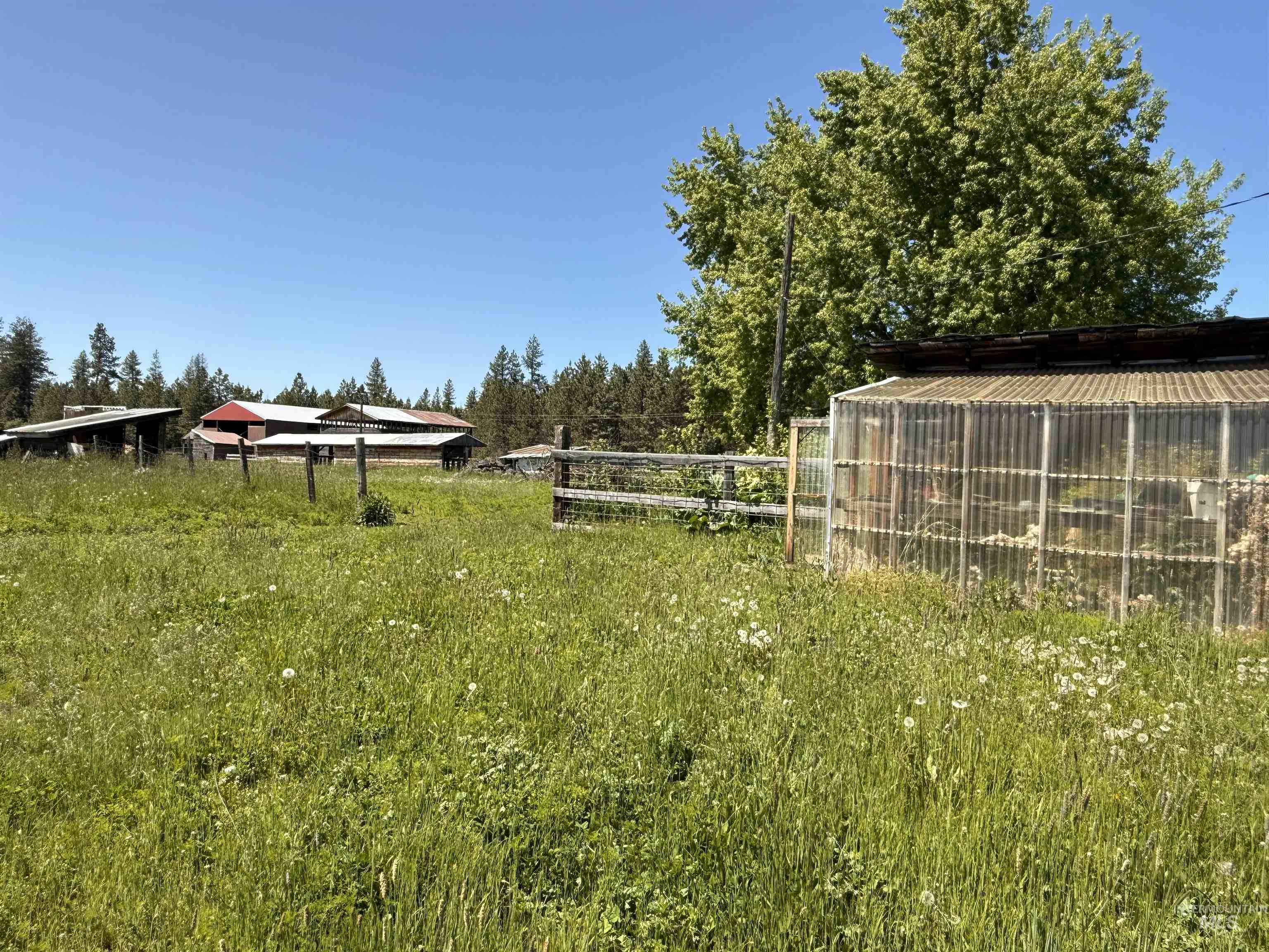 5656 Three Mile Road Weippe, ID 83553 - Photo 4 of 47