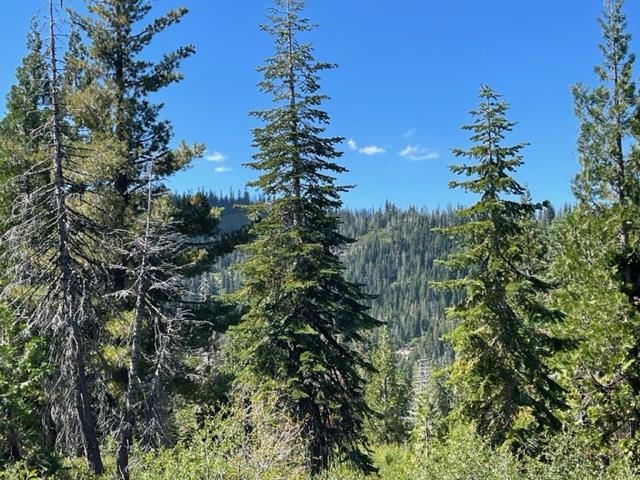 0 Big Creek Road Quincy, CA 95971 - Photo 13 of 19