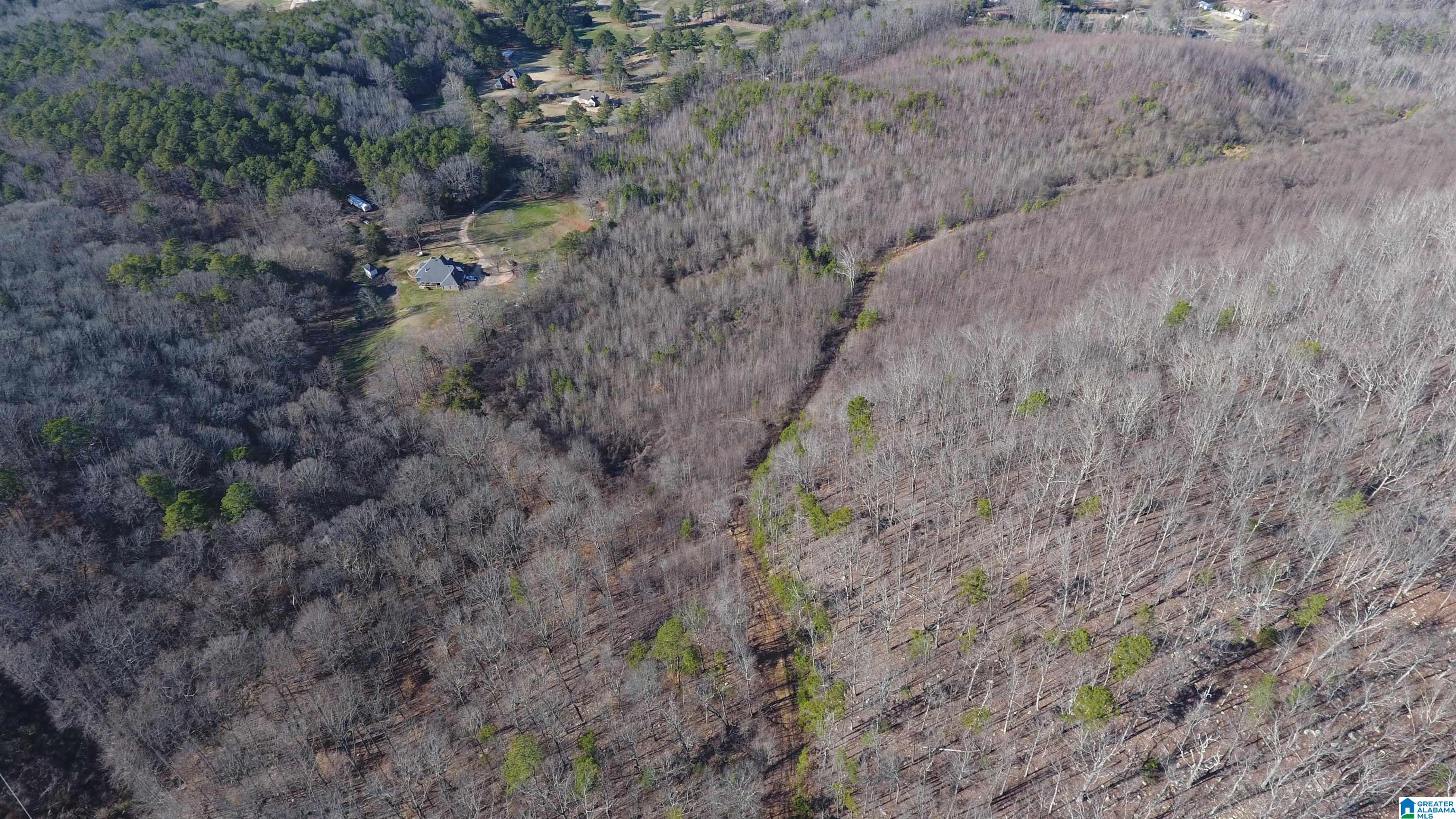 8455 Clayton Road Trussville, AL 35173 - Photo 22 of 65