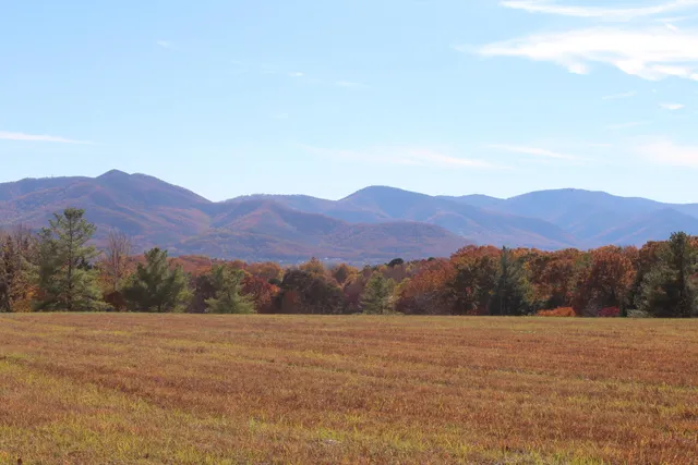 $640,000 | 415 Pennsylvania Avenue, Salem, VA 24153