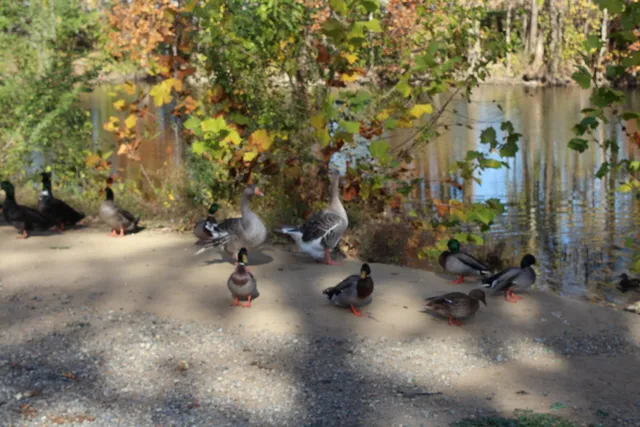 $640,000 | 415 Pennsylvania Avenue, Salem, VA 24153