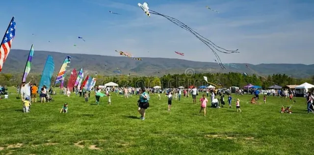 $640,000 | 415 Pennsylvania Avenue, Salem, VA 24153