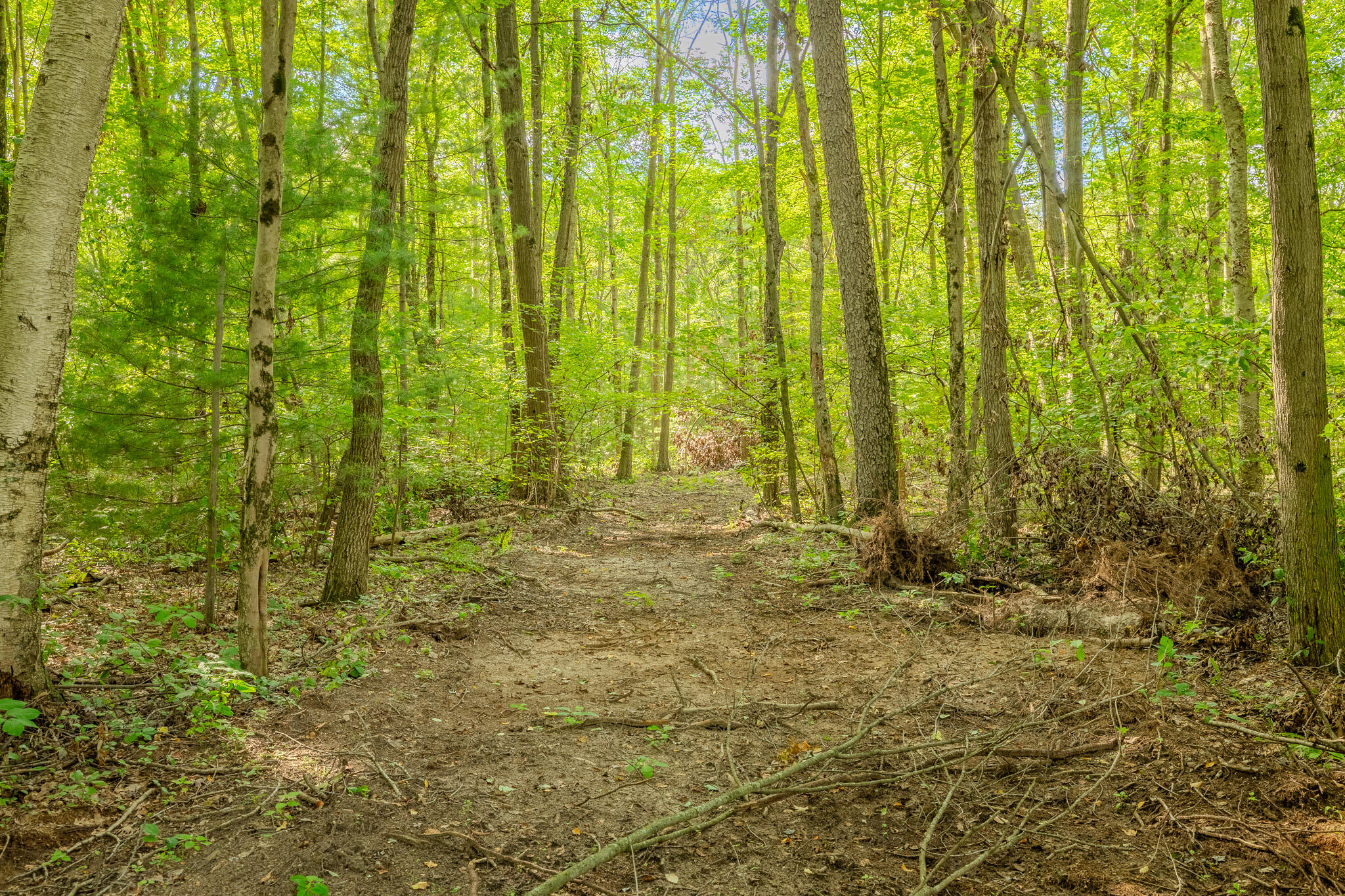 11502 Hall Road Ravenna, MI 49451 - Photo 27 of 32 048A7001-HDR