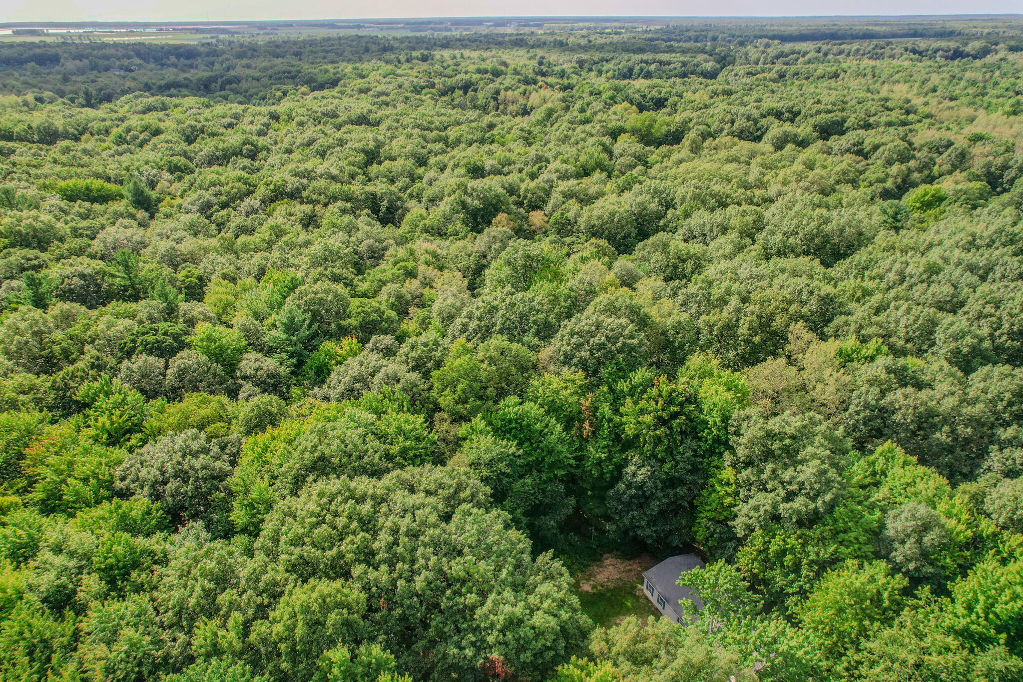 11502 Hall Road Ravenna, MI 49451 - Photo 30 of 32 DJI_0413
