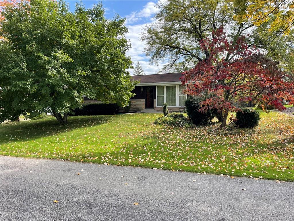 a view of a house with a yard and potted plants