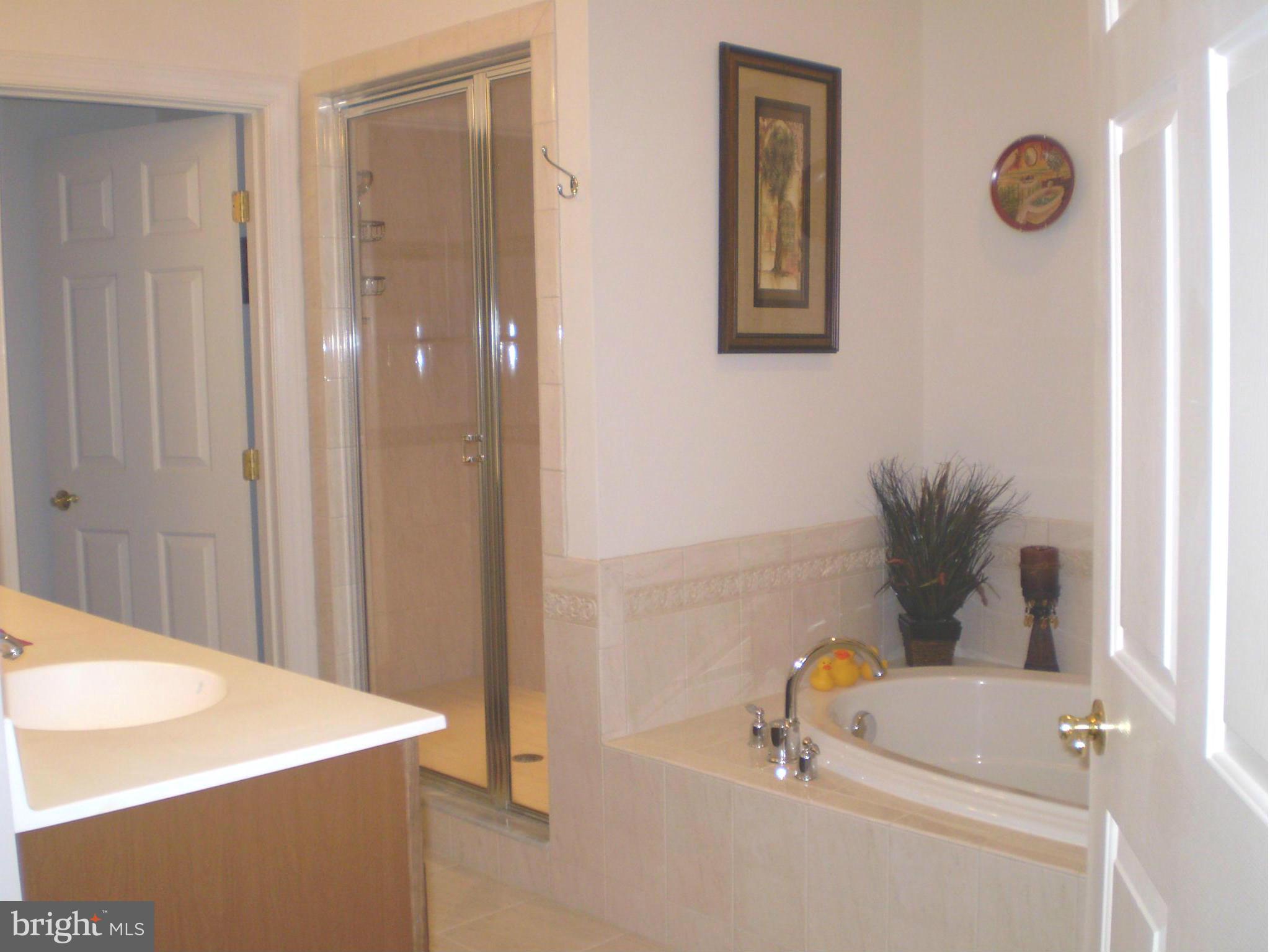 4318 Pearlberry Road Baltimore, MD 21208 - Photo 14 of 30 Bath (Master)