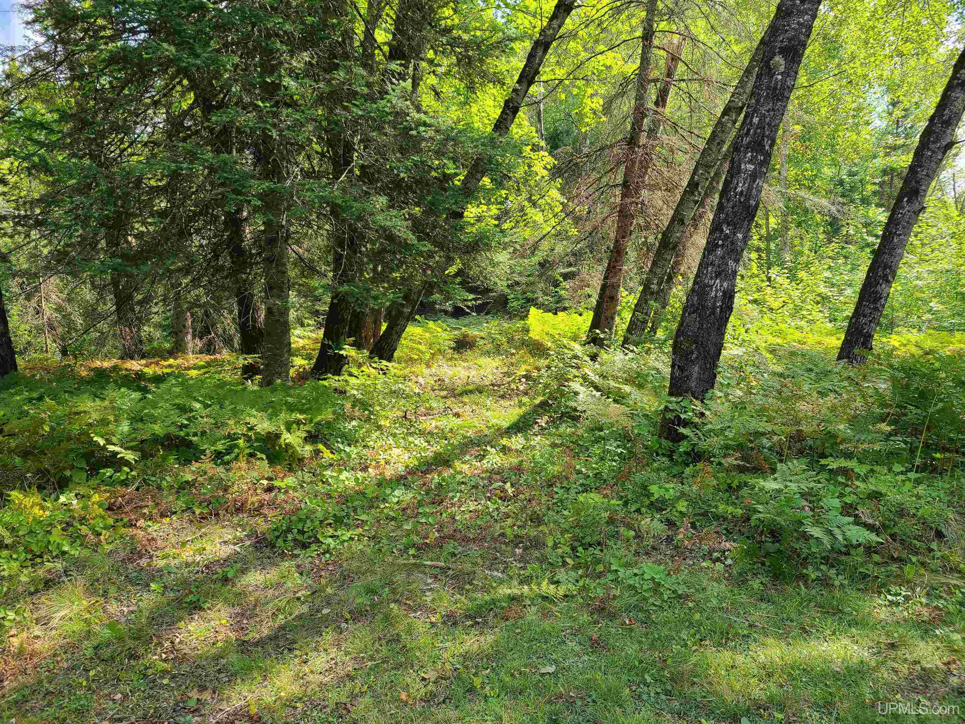 W1322 Co Road Felch, MI 49831 - Photo 8 of 17