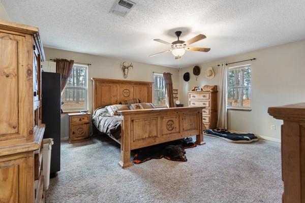 7766 North State Highway 78 Ravenna, TX 75476 - Photo 16 of 39 Carpeted bedroom featuring multiple windows, ceiling fan, and a textured ceiling