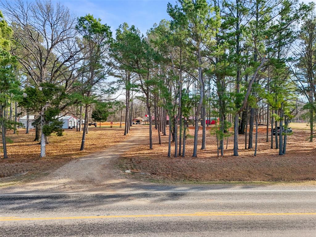 7766 North State Highway 78 Ravenna, TX 75476 - Photo 4 of 39 View of dirt / gravel driveway