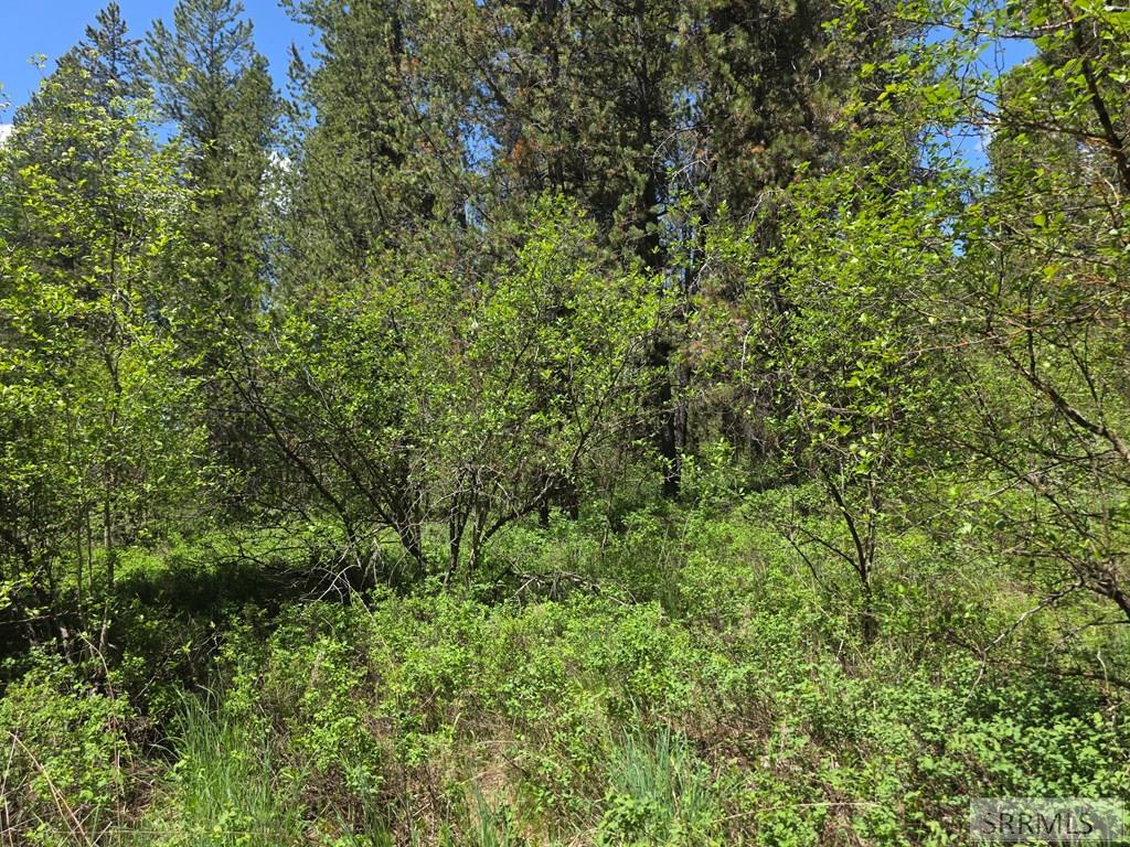 4585 East 1400 Road North Ashton, ID 83420 - Photo 14 of 31