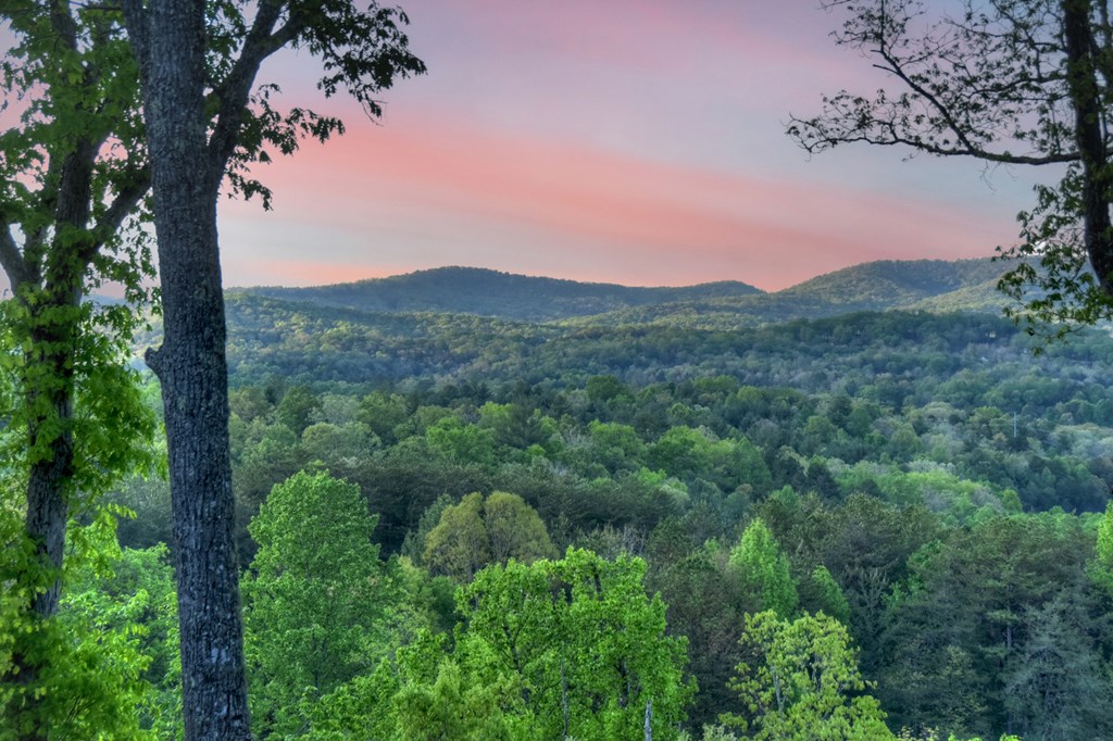 329 Robinson Thomas Road Morganton, GA 30560 - Photo 3 of 96 a view of a mountain range with trees in the background