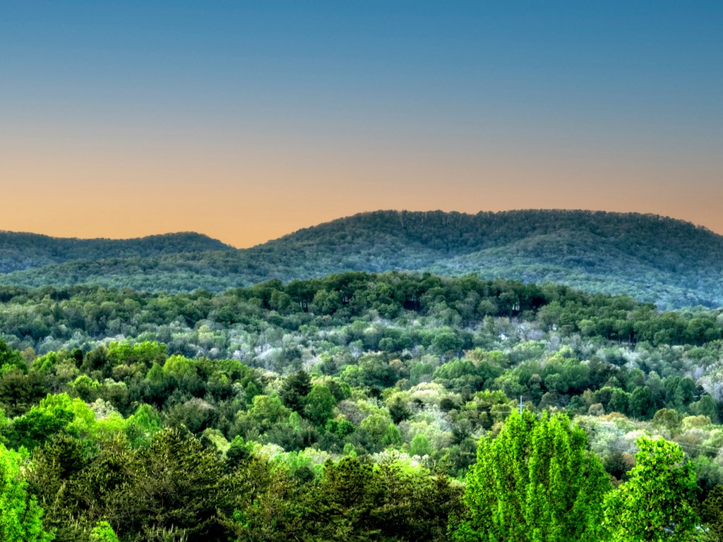 329 Robinson Thomas Road Morganton, GA 30560 - Photo 37 of 96 a view of a mountain in the distance in a field