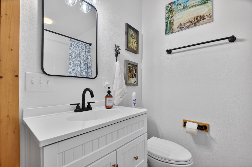 329 Robinson Thomas Road Morganton, GA 30560 - Photo 47 of 96 a bathroom with a sink mirror and toilet