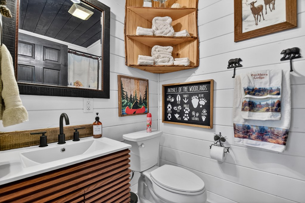 329 Robinson Thomas Road Morganton, GA 30560 - Photo 61 of 96 a bathroom with a sink a toilet and shower curtain