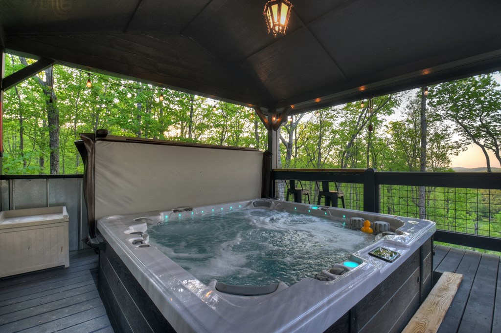 329 Robinson Thomas Road Morganton, GA 30560 - Photo 65 of 96