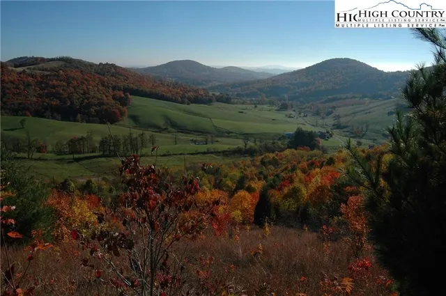 a view of a lot of trees and mountains