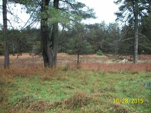 821 Bloom Road Eagle River, WI 54521 - Photo 3 of 8 Gallery Image 3