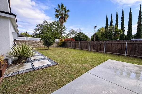 a view of a backyard with plants