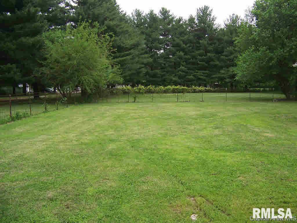 7668 North Pawnee Road Pawnee, IL 62558 - Photo 3 of 13