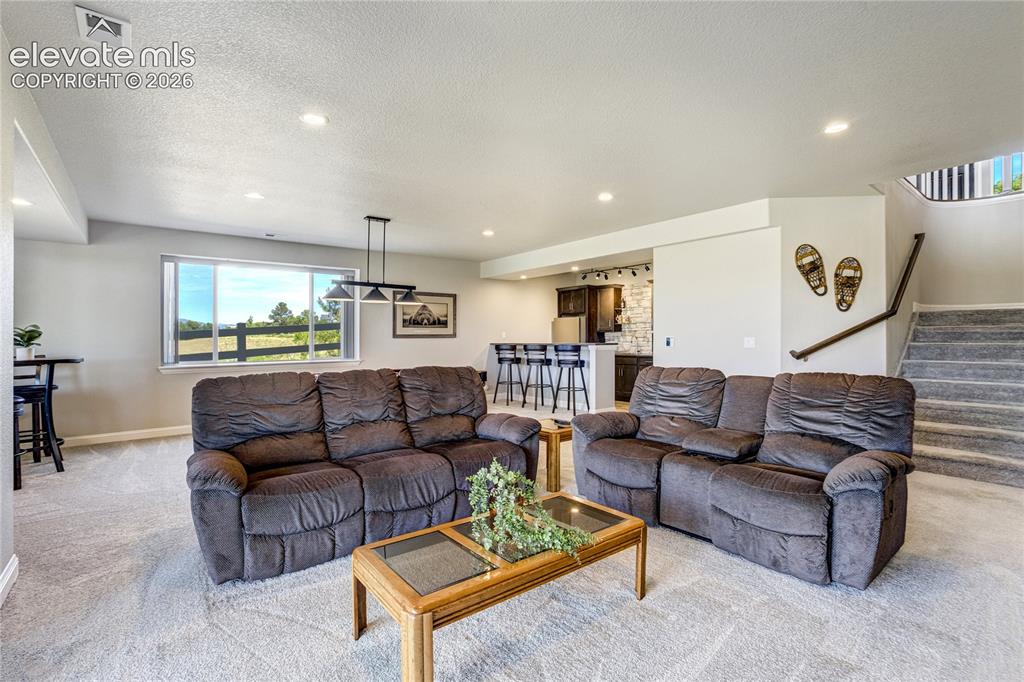 1011 Charismatic Way Colorado Springs, CO 80921 - Photo 28 of 50