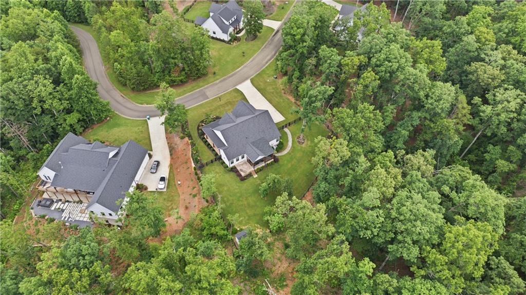 115 Brighton Road Ball Ground, GA 30107 - Photo 40 of 61