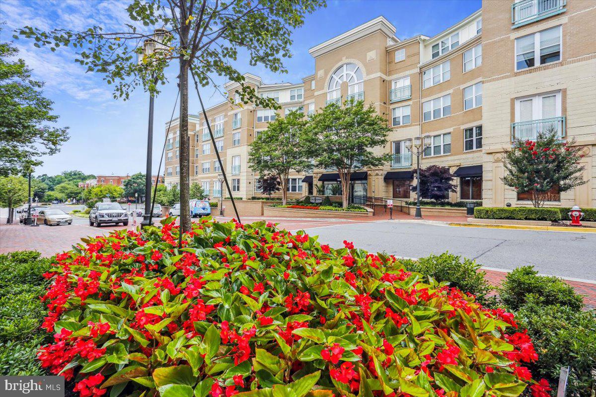 12000 Market Street, Unit 371 Reston, VA 20190 - Photo 41 of 81 The Savoy garden