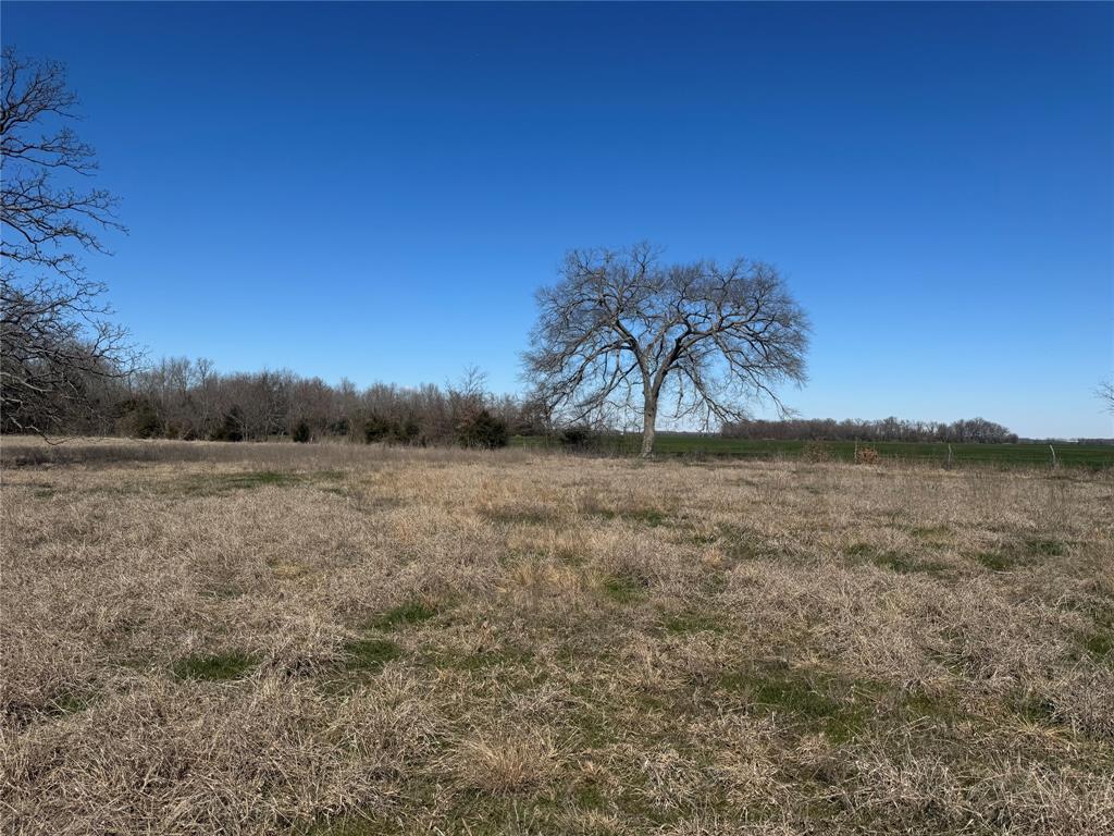 Lot 7 Ranches At Quail Hollow Paris, TX 75462 - Photo 3 of 11 a view of a lake with a yard