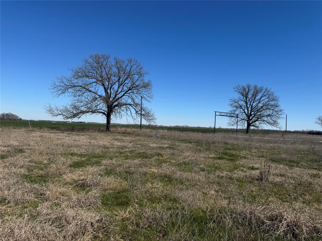 Lot 7 Ranches At Quail Hollow Paris, TX 75462 - Photo 4 of 11 a view of patio and yard
