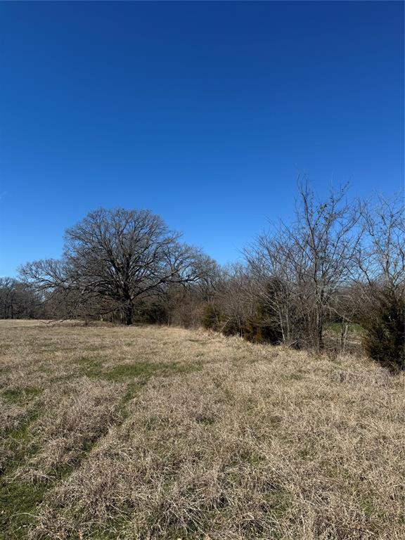 Lot 7 Ranches At Quail Hollow Paris, TX 75462 - Photo 6 of 11 a view of dirt field with trees in background