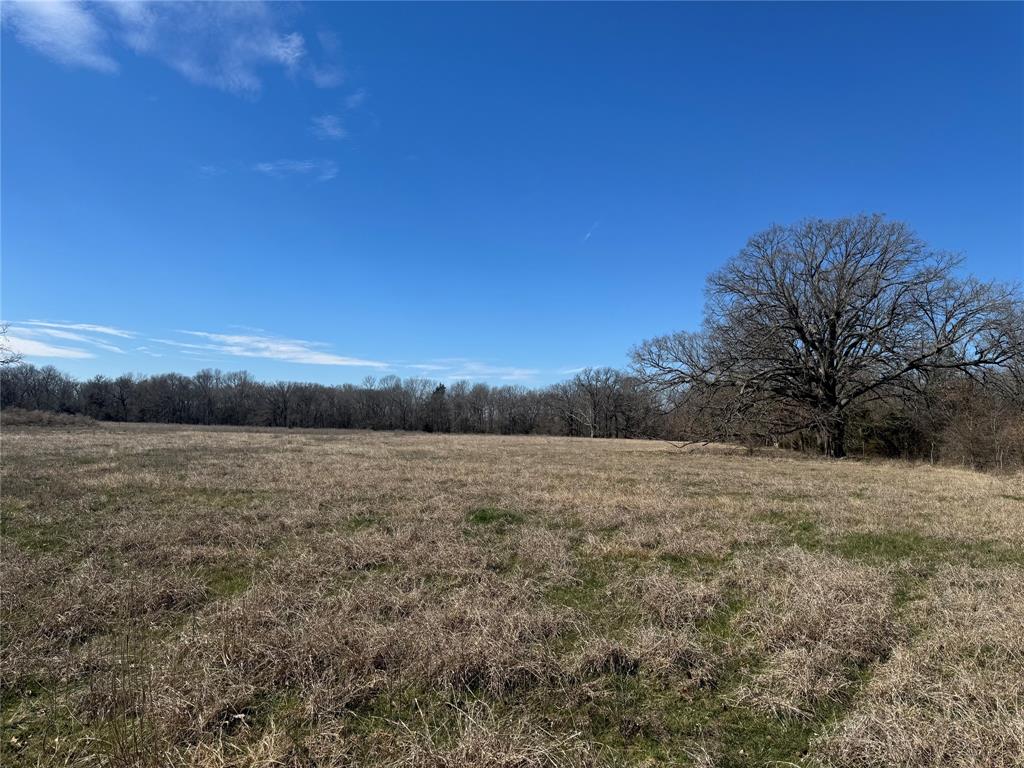 Lot 7 Ranches At Quail Hollow Paris, TX 75462 - Photo 7 of 11 a view of an lake and a yard