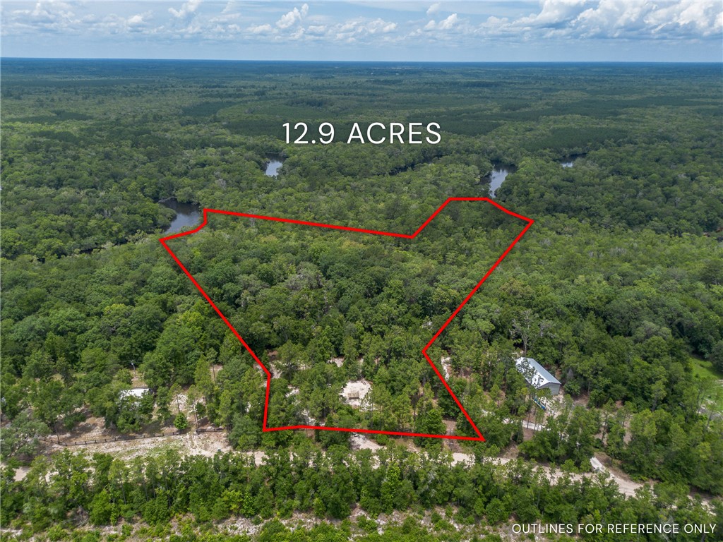 1360 Douglas Fish Camp Road White Oak, GA 31568 - Photo 11 of 49