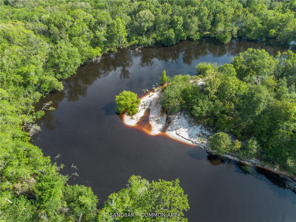 1360 Douglas Fish Camp Road White Oak, GA 31568 - Photo 2 of 49