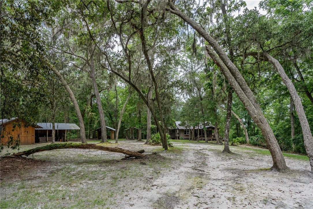 1360 Douglas Fish Camp Road White Oak, GA 31568 - Photo 21 of 49