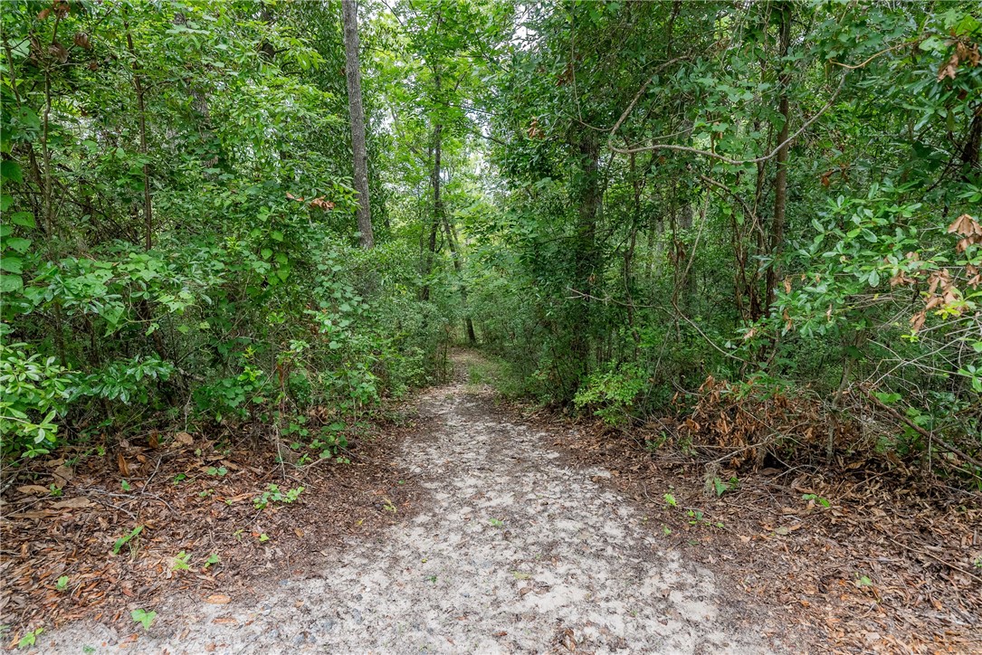 1360 Douglas Fish Camp Road White Oak, GA 31568 - Photo 26 of 49