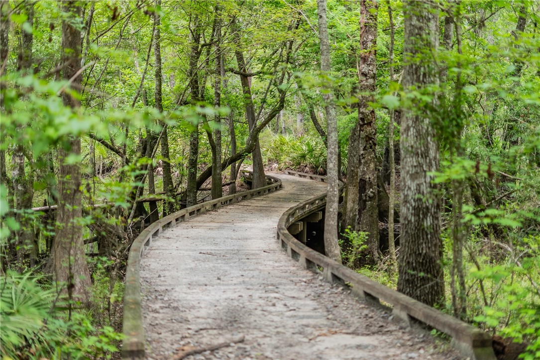 1360 Douglas Fish Camp Road White Oak, GA 31568 - Photo 4 of 49