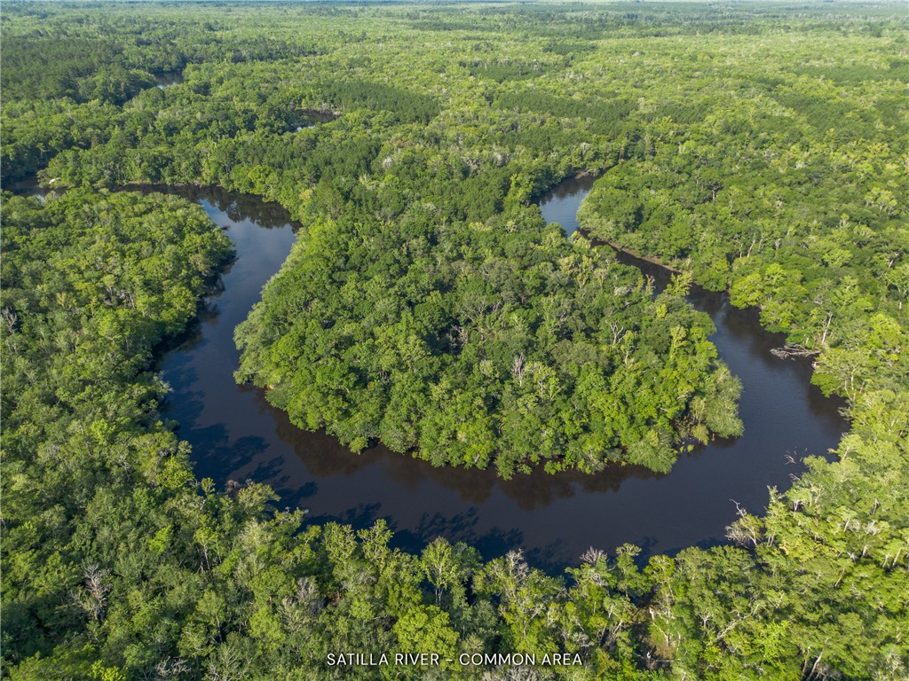 1360 Douglas Fish Camp Road White Oak, GA 31568 - Photo 6 of 49