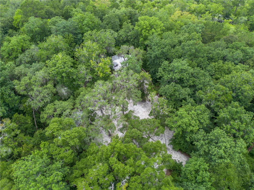 1360 Douglas Fish Camp Road White Oak, GA 31568 - Photo 7 of 49