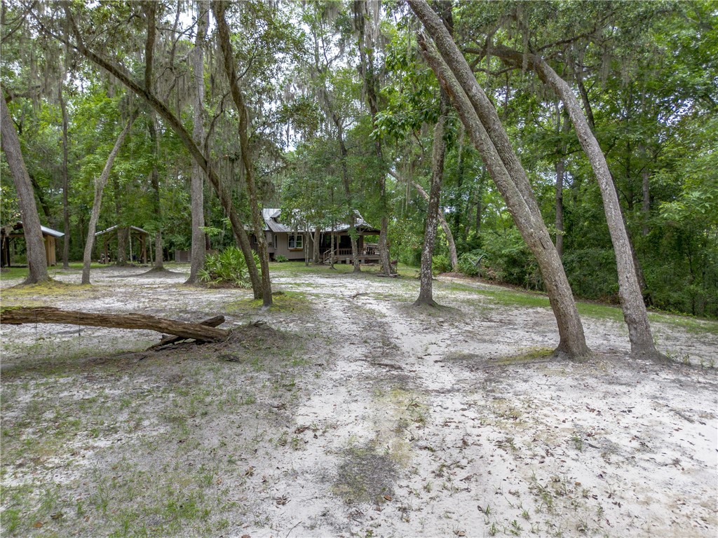 1360 Douglas Fish Camp Road White Oak, GA 31568 - Photo 9 of 49