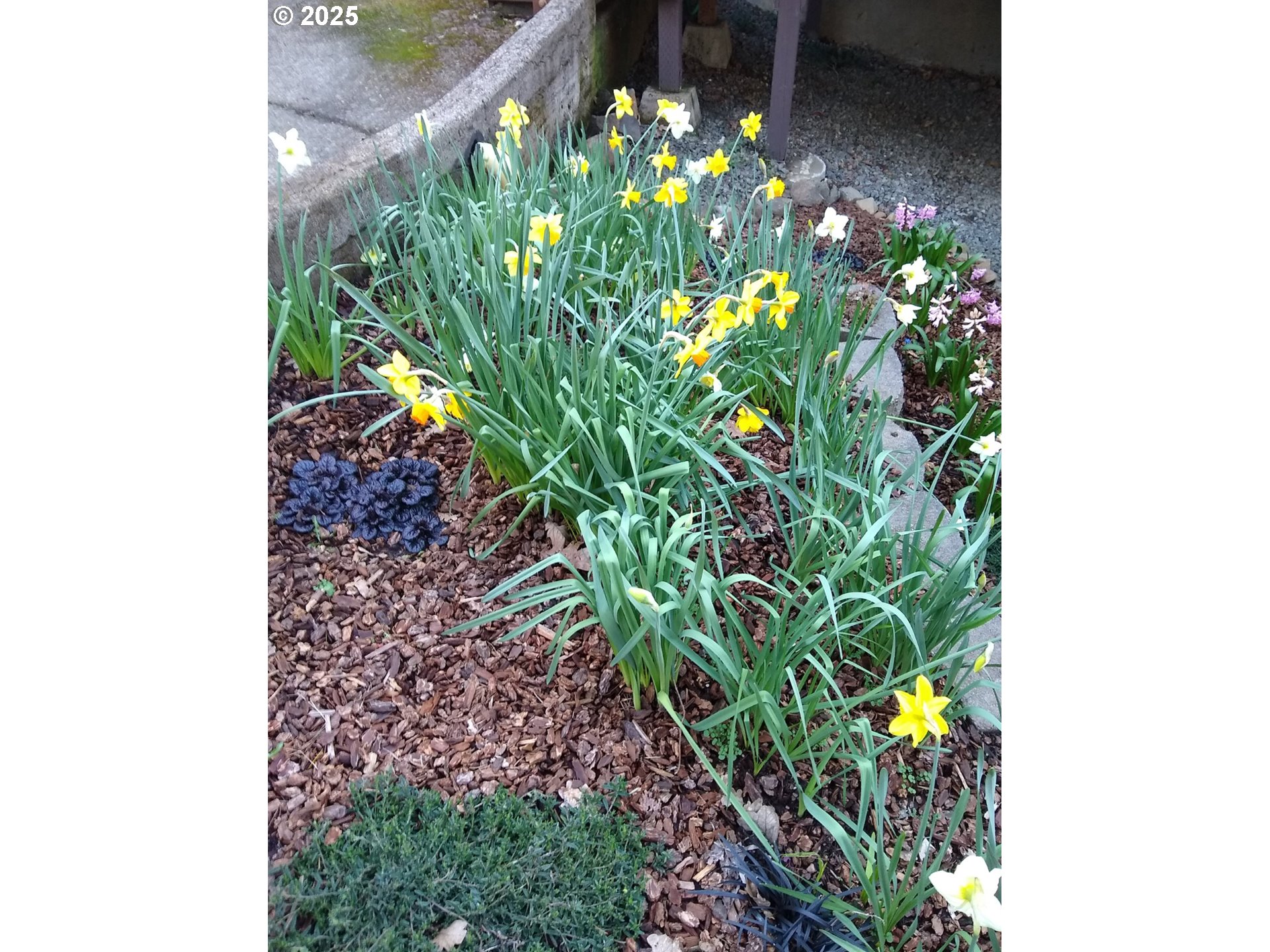 3370 Videra Drive Eugene, OR 97405 - Photo 42 of 43