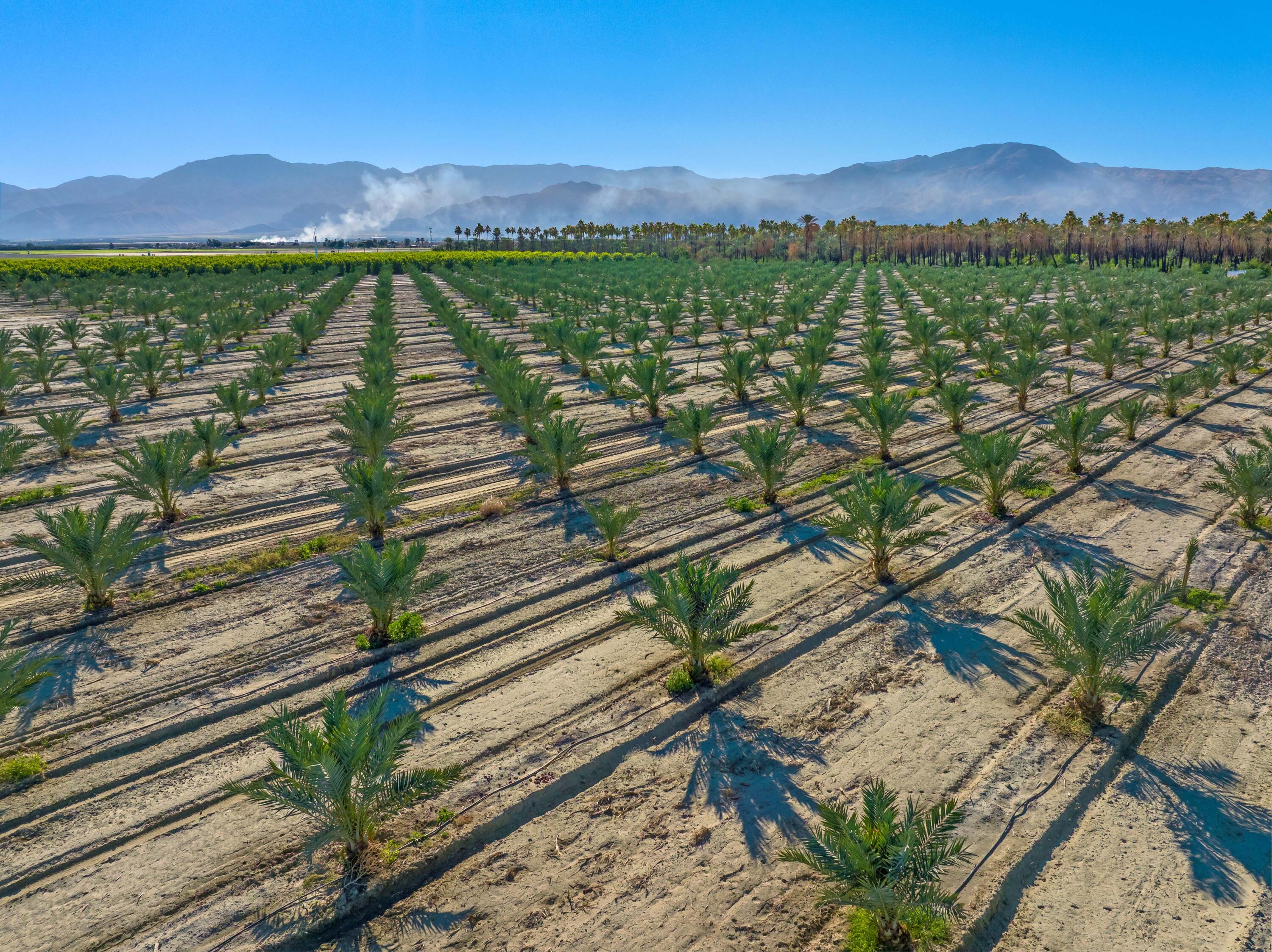 0 Fillmore Street Thermal, CA 92274 - Photo 5 of 9