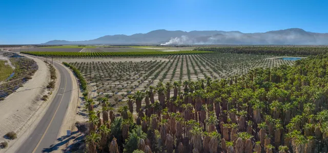 a view of a street with a trees in the background