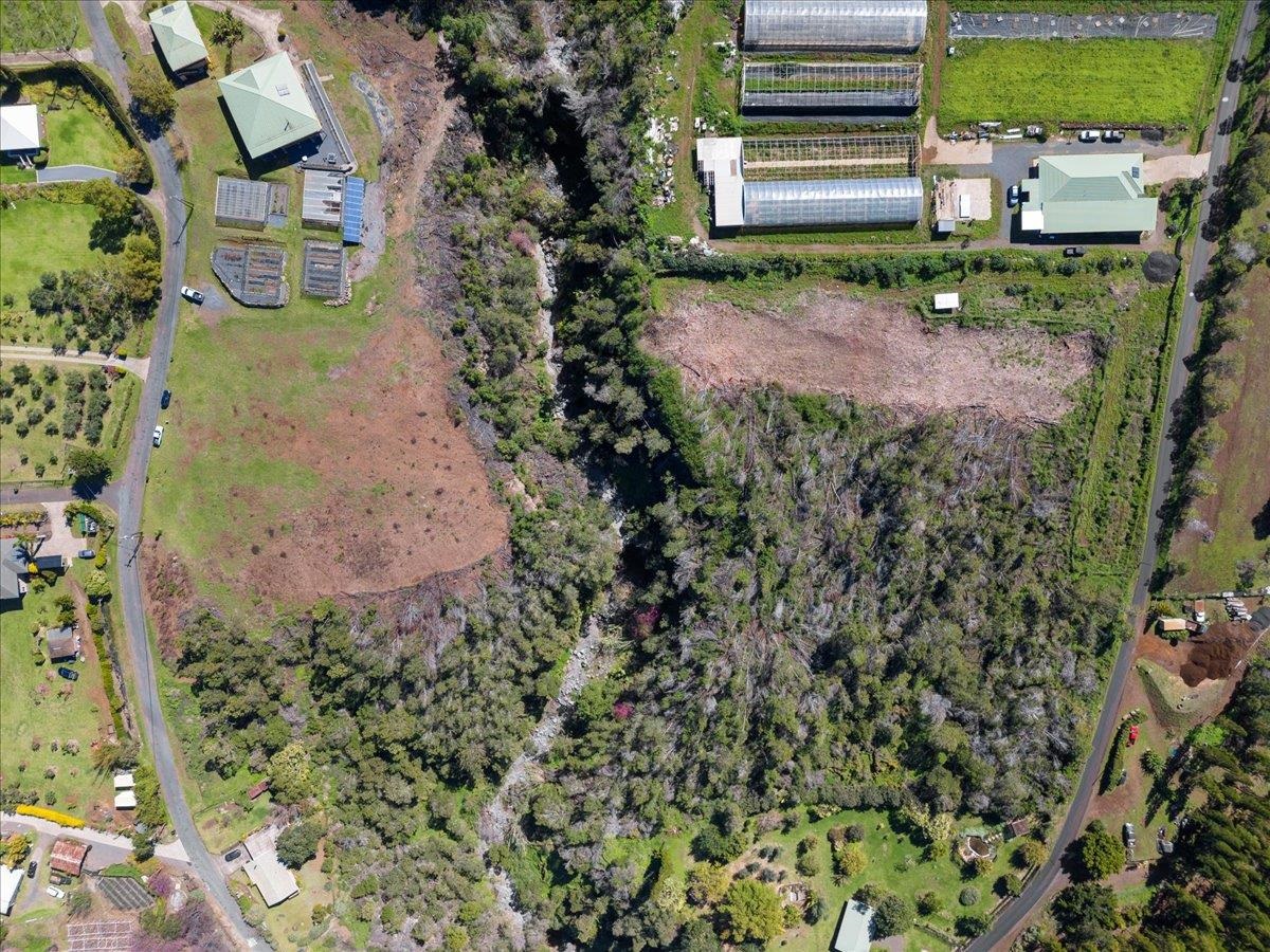 Kamehameiki Road Kula, HI 96790 - Photo 14 of 15 a view of a yard with plants
