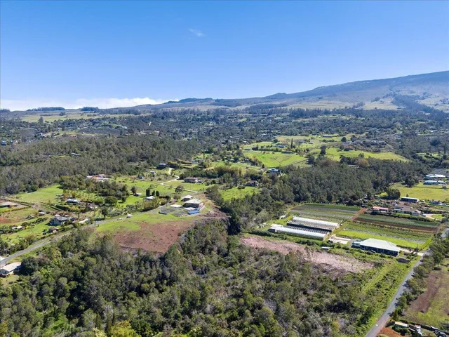 a view of a city with mountains in the background