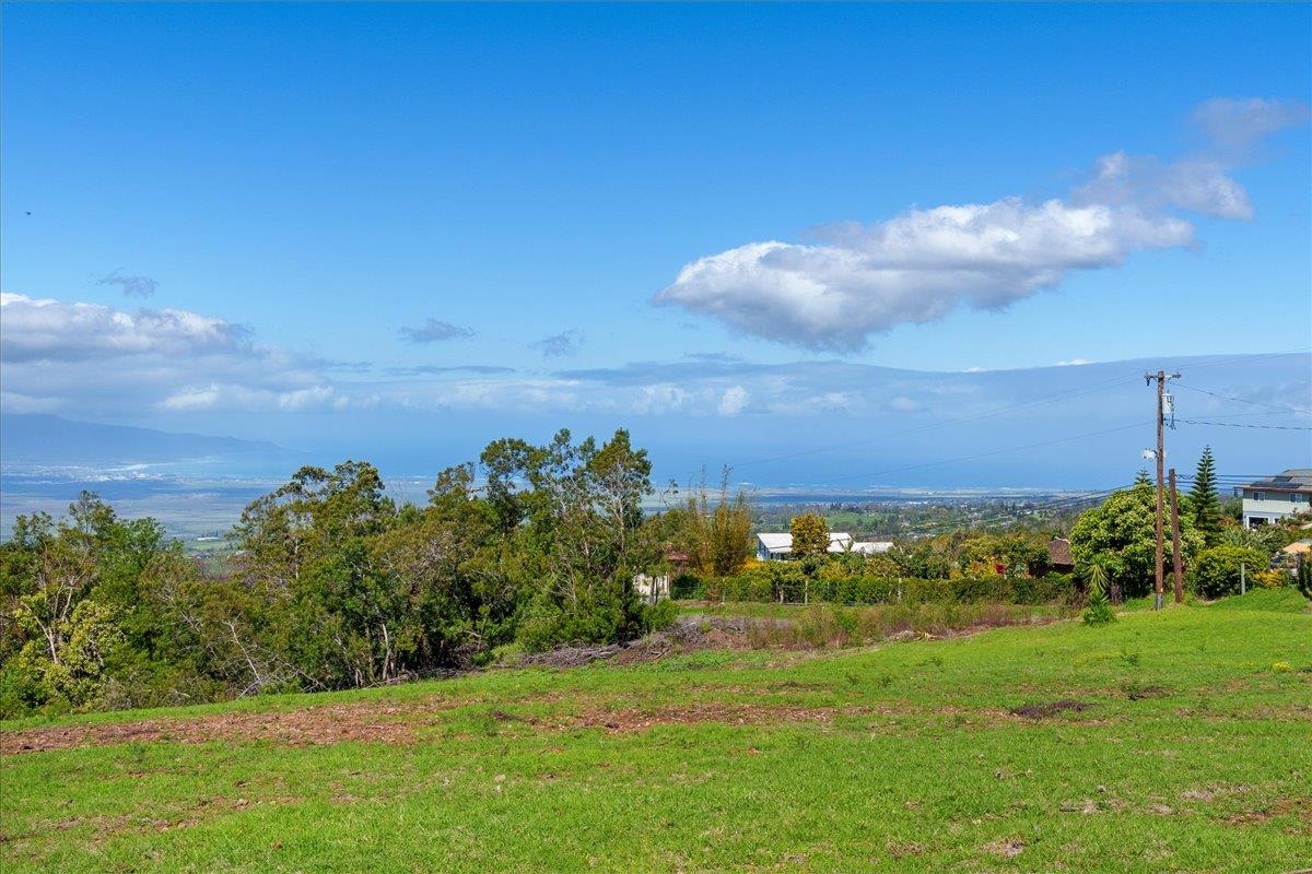 Kamehameiki Road Kula, HI 96790 - Photo 7 of 15 a view of a garden