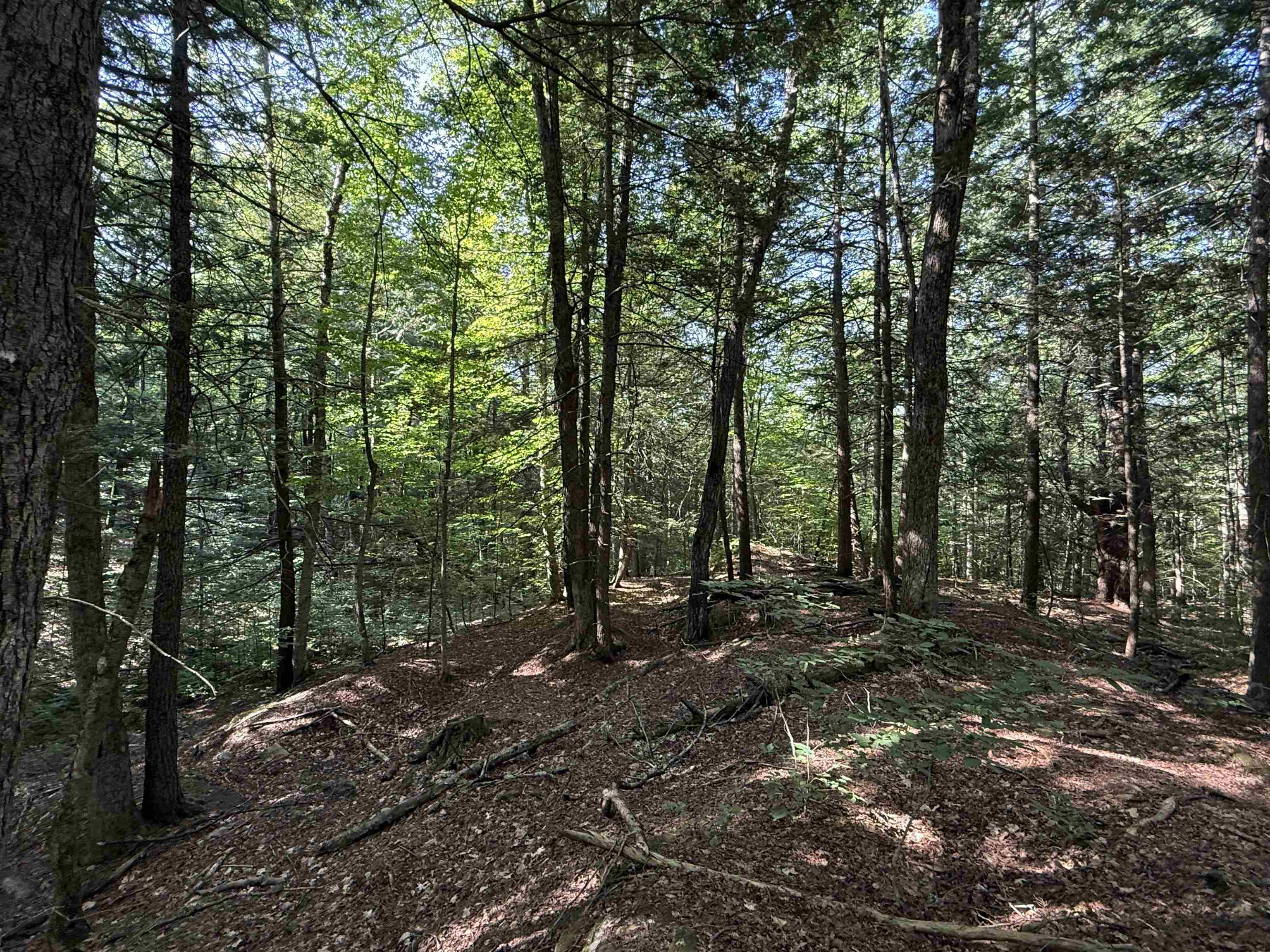 0 Stickney Brook Road Brattleboro, VT 05301 - Photo 12 of 14 Gallery Image 12