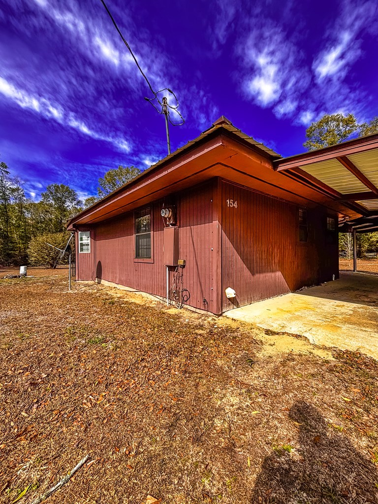 154 Open Pond Road Samson, AL 36477 - Photo 3 of 17