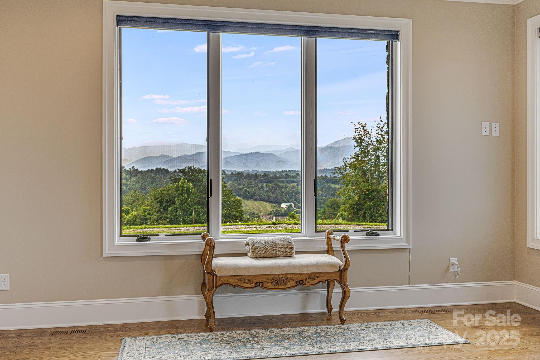 360 Turkey Branch Road Mars Hill, NC 28754 - Photo 20 of 45