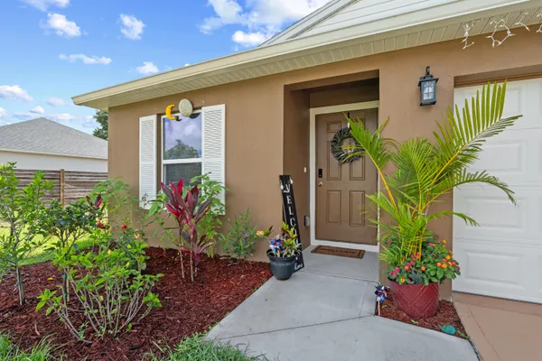 a potted plant sitting in front of a house