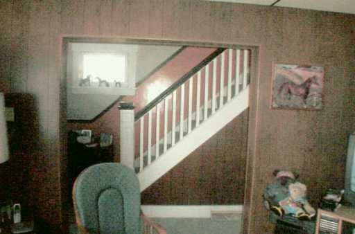 517 Cubbage Street Carnegie, PA 15106 - Photo 4 of 5 Other.